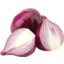 Photo of Red Onion Skin On