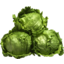 Photo of Lettuce Iceberg