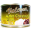 Photo of Valcom Water Chestnut Sliced