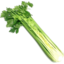 Photo of Celery Half.