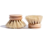Photo of Seyour Brush Head Refill 2 Pack