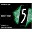 Photo of 5gum Sweet Mint Sugar Free Chewing Gum 12 Pack