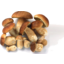 Photo of Funghi Porcini Mushrooms
