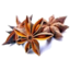 Photo of Anise Star