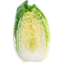 Photo of Wombok Cabbage Half