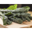 Photo of Kale Tuscan