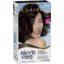 Photo of Clairol Nice 'N Easy 3.5 Natural Darkest Brown Permanent Hair Colour