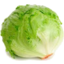 Photo of Lettuce Ea