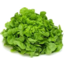Photo of Lettuce - Green Oak