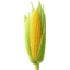 Photo of Org Sweet Corn Each