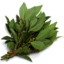 Photo of Herb - Bay Leaves