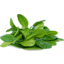 Photo of Herbs Lime Leaves