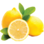 Photo of Lemons Nz Grown Kg
