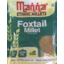 Photo of Manna Foxtail Millet