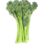 Photo of Baby Broccoli