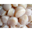 Photo of Scallops Canadian Kg