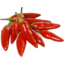 Photo of Chillies Bullet