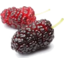Photo of Mulberries