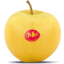 Photo of Apples Yello Kg