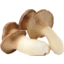 Photo of Mushrooms King Brown Kg