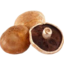Photo of Mushrooms Portabello Nz Grown