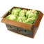 Photo of Lettuce Iceberg (12 per box)