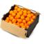 Photo of Oranges Bulk Box