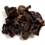Photo of Black Fungi Mushrooms