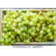 Photo of Box Grapes Green