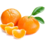 Photo of Mandarines