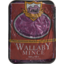 Photo of Wallaby Mince 500g