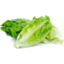 Photo of Baby Cos Lettuce