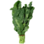 Photo of Kailan Chinese Broccoli Org Bunch