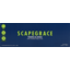 Photo of Scapegrace Vodka Lime 10x330ml Cans