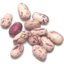 Photo of Bulk - Borlotti Beans