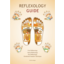 Photo of Guide - Reflexology