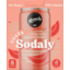 Photo of Remedy Sodaly Soft Drink Guava Cans
