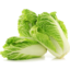Photo of Cabbage Chinese Whole