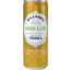 Photo of Billsons Vodka With Ginger And Lime 355ml