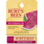 Photo of Burts Bees Watermelon Lip Balm