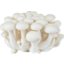 Photo of Beech Mushrooms