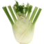 Photo of Fennel