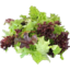 Photo of AUS GREEN GROWERS Salad Mix Mesculan Organic 100g