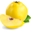 Photo of Quince Kg