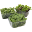 Photo of Salad Mix Lettuce