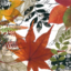 Photo of Napkin, Lunch, Autumn Collage 20-pack