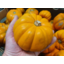 Photo of Pumpkin Golden Nugget- Mini
