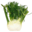 Photo of Fennel