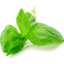 Photo of  	Basil - Half Bunch (PACK)