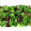 Photo of Lettuce Mixed